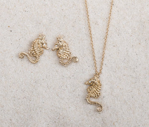 Seahorse
