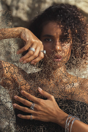 Sea Fan
